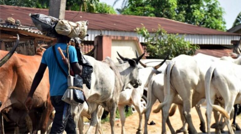 The History Of Fulani Herdsmen In Nigeria Fulani Attacks Naijabiography 4039