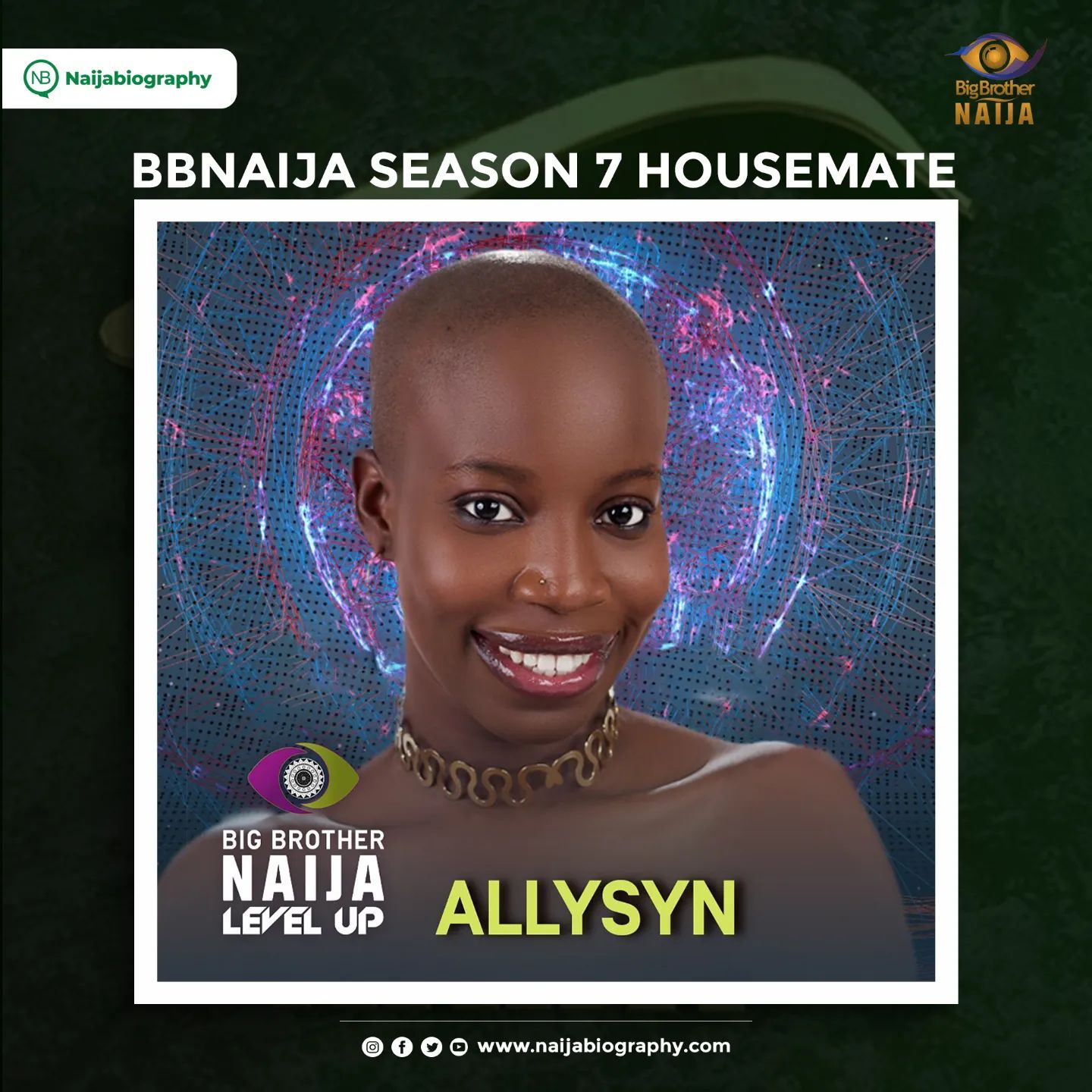 BBNaija Season 7 Housemates | Names | Pictures | Handles | Naijabiography