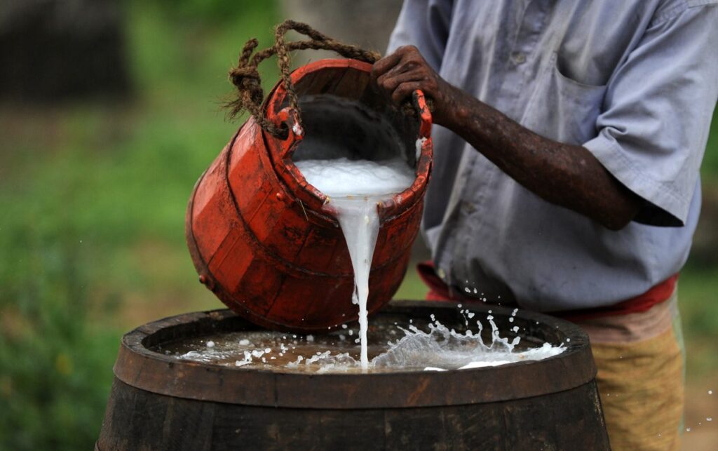 The Culture Of Palm Wine In Nigeria - The Culture Newspaper