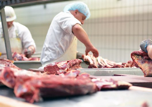 assistant butcher, one of the jobs under a retail meat cutter